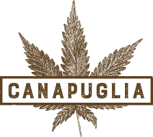 Canapuglia