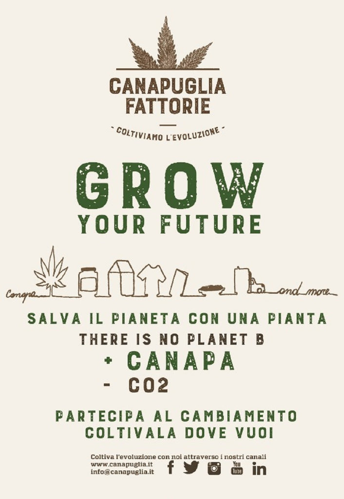 GROW YOUR FUTURE